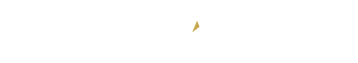 GovLeaders Advisory
